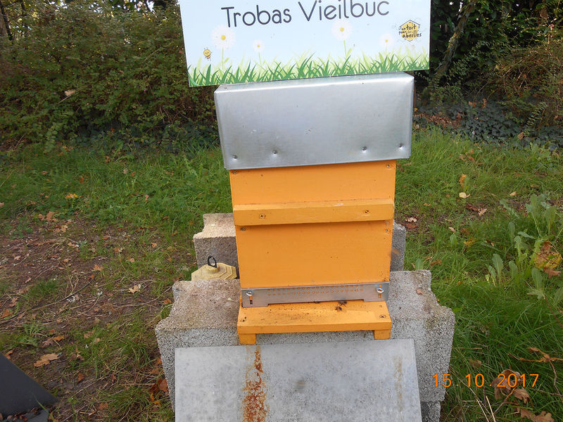 La ruche Trobas Vieilbuc